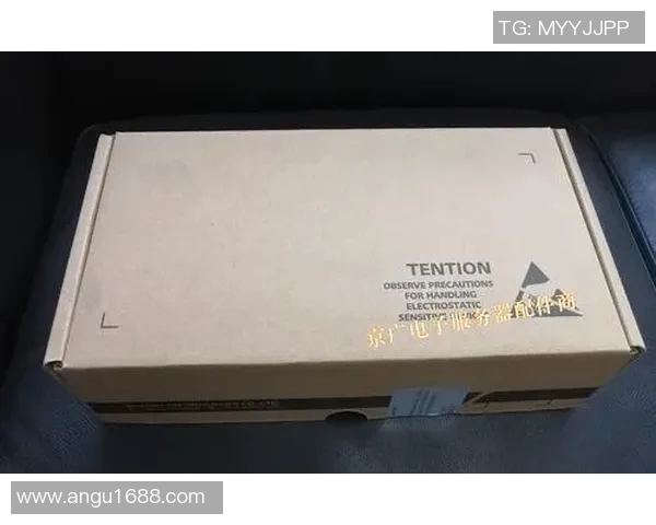 V5在S15精英赛中的耐力表现分析与点评展现团队实力与战术深度