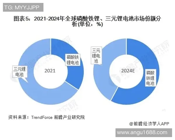 提升数据分析能力在TES中的个人表现与发展路径探讨