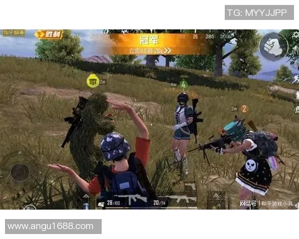 和平精英焦点BLG团队战术意识分析与提升策略探讨实时数据